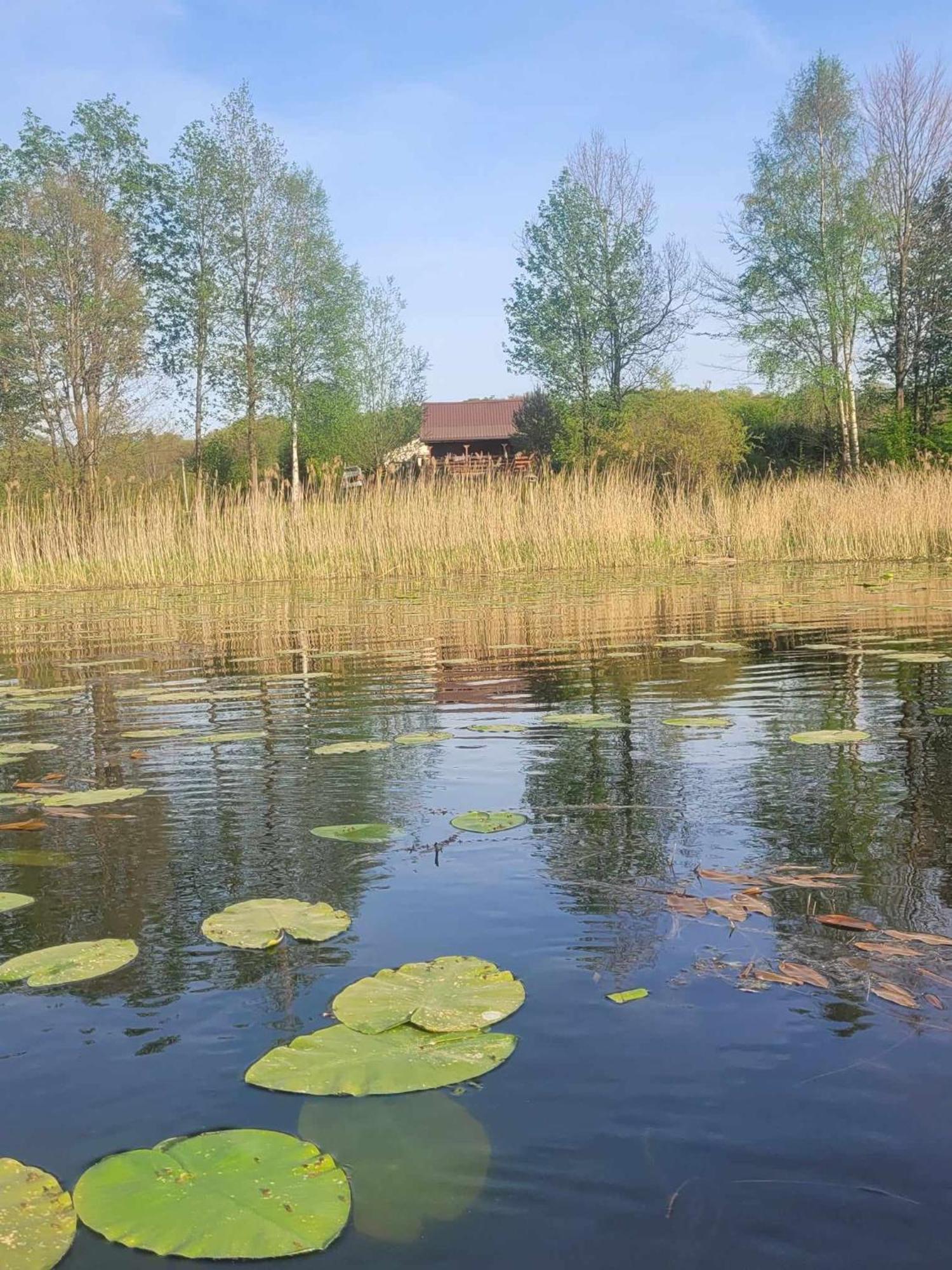 Drewniany Domek Zurawi Trakt Zabrsko Dolne Exterior photo